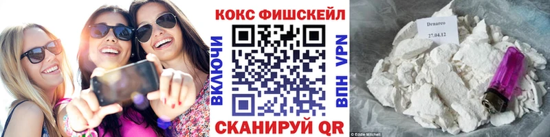 Кокаин FishScale  это клад  Дудинка 
