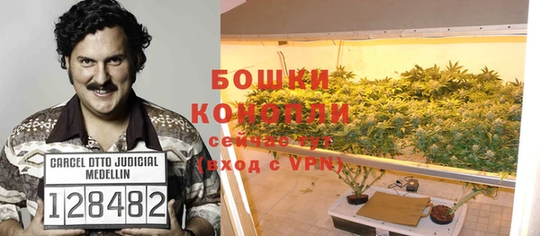 прущий лед Верея