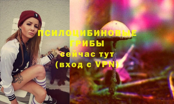 ALPHA PVP Верхний Тагил