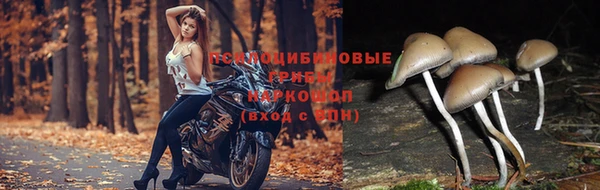 ALPHA PVP Верхний Тагил