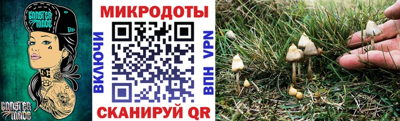 Псилоцибиновые грибы Cubensis  закладки  Дудинка 