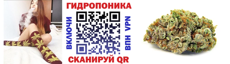 Марихуана ГИДРОПОН Дудинка